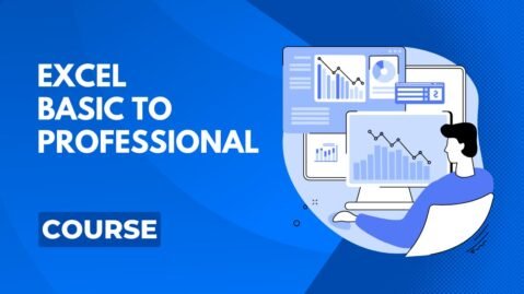 Excel (Basic to Professional)